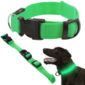 Collier LED qui brille dans le noir pour chiens