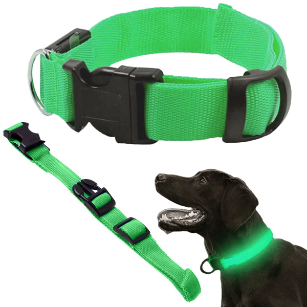 Collier LED qui brille dans le noir pour chiens