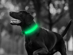 Collier LED qui brille dans le noir pour chiens
